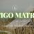 STIGO MATRIX IN VIIRELAID, 7-9.06.26 - Pilet