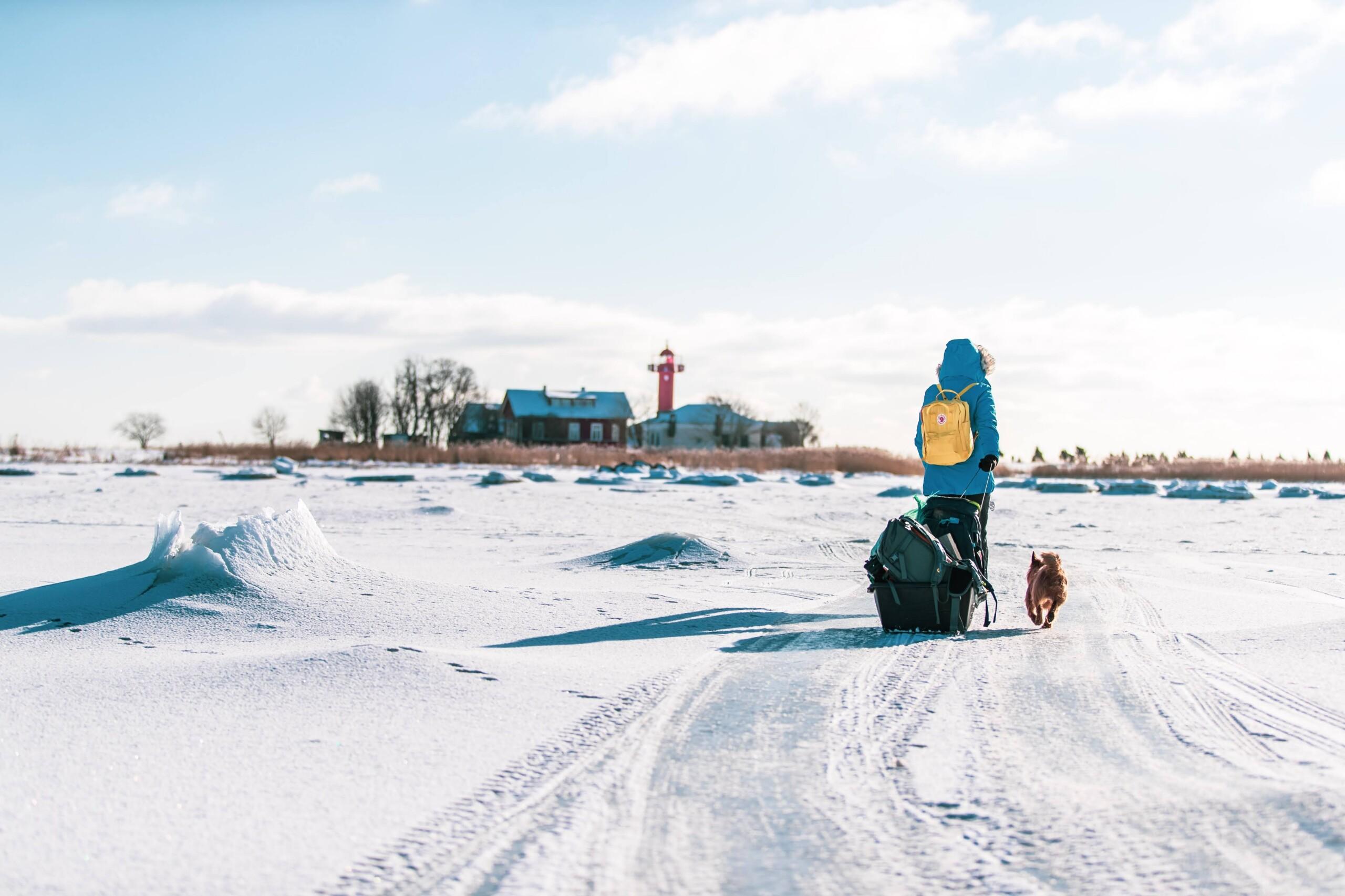 The Republic of Viirelaid. Ice. Wind. And you. 27.01.2026